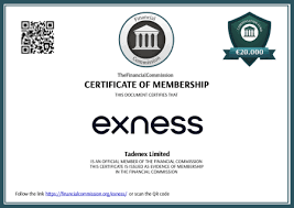 Exness Metatrader 4 Download Your Guide to a Seamless Trading Experience Exness Metatrader 4 Download Your Guide to a Seamless Trading Experience